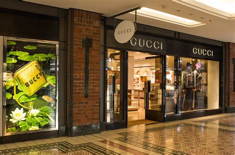 gucci cape town south africa.